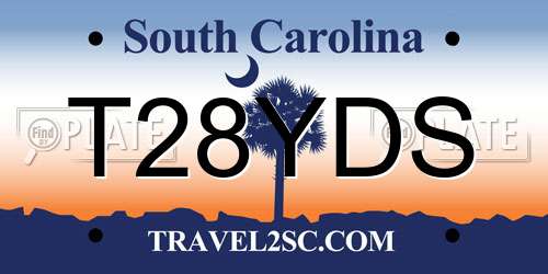 T28YDS South Carolina License Plate