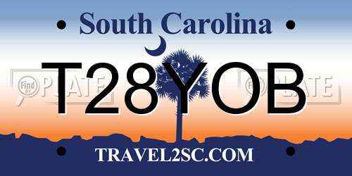 T28YOB South Carolina License Plate