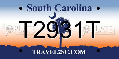 T2931T South Carolina License Plate