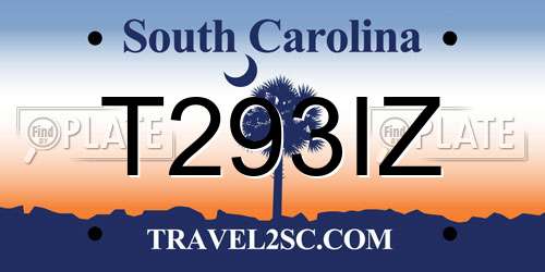 T293IZ South Carolina License Plate