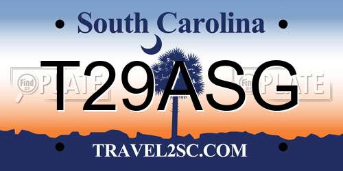 T29ASG South Carolina License Plate