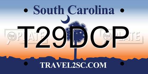 T29DCP South Carolina License Plate