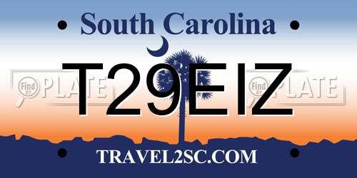 T29EIZ South Carolina License Plate