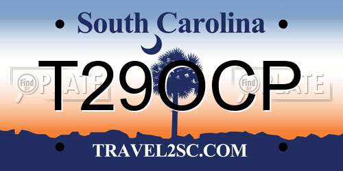 T29OCP South Carolina License Plate