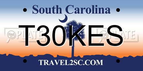 T30KES South Carolina License Plate