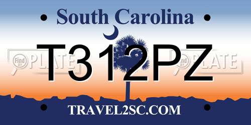 T312PZ South Carolina License Plate