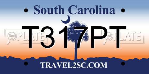 T317PT South Carolina License Plate