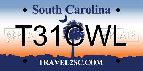 T31CWL South Carolina License Plate