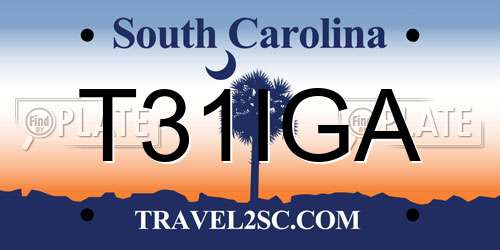 T31IGA South Carolina License Plate