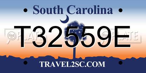 T32559E South Carolina License Plate