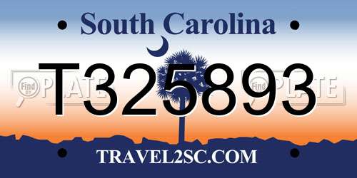 T325893 South Carolina License Plate