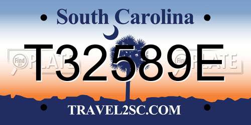 T32589E South Carolina License Plate