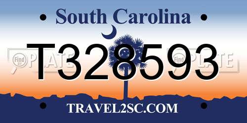T328593 South Carolina License Plate