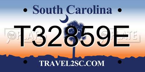 T32859E South Carolina License Plate