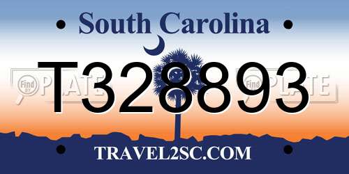 T328893 South Carolina License Plate
