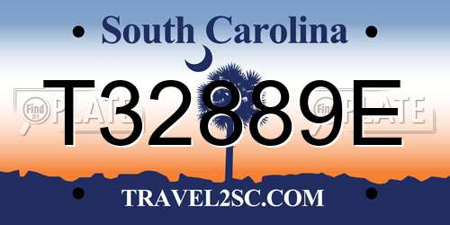 T32889E South Carolina License Plate