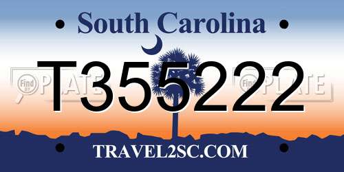 T355222 South Carolina License Plate
