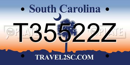 T35522Z South Carolina License Plate