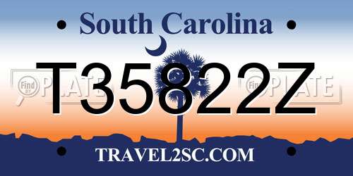 T35822Z South Carolina License Plate