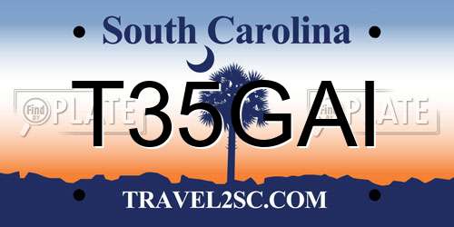 T35GAI South Carolina License Plate