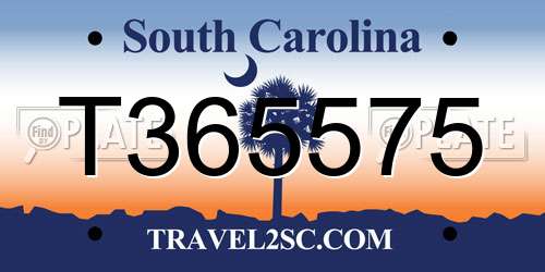 T365575 South Carolina License Plate