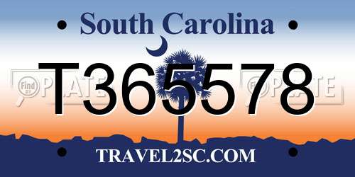 T365578 South Carolina License Plate