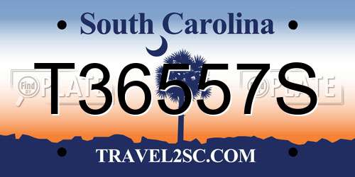 T36557S South Carolina License Plate