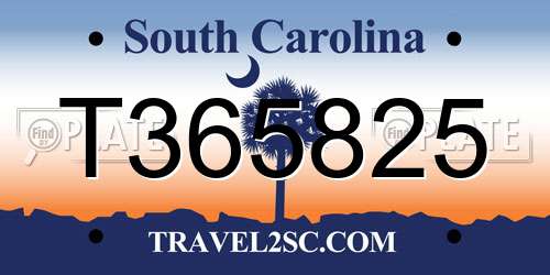 T365825 South Carolina License Plate