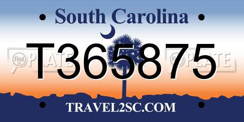T365875 South Carolina License Plate