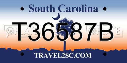 T36587B South Carolina License Plate