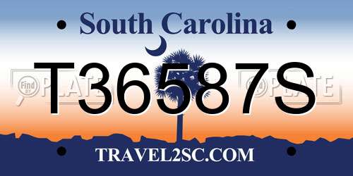 T36587S South Carolina License Plate