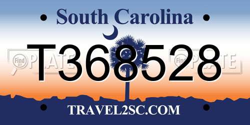 T368528 South Carolina License Plate