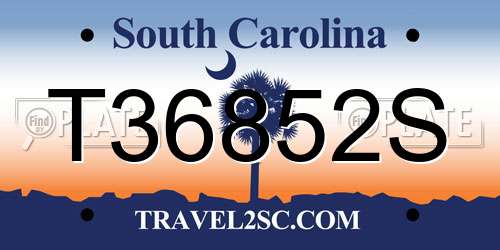 T36852S South Carolina License Plate