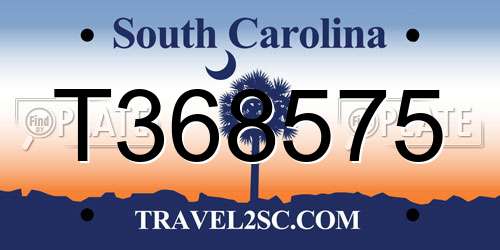 T368575 South Carolina License Plate