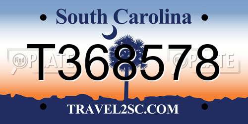 T368578 South Carolina License Plate