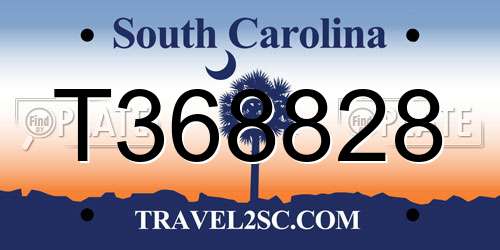 T368828 South Carolina License Plate