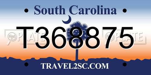 T368875 South Carolina License Plate