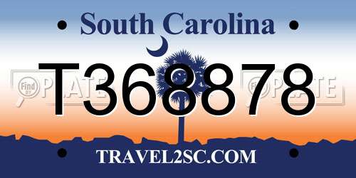 T368878 South Carolina License Plate