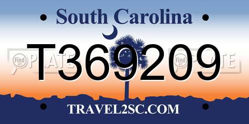 T369209 South Carolina License Plate