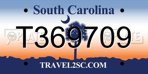 T369709 South Carolina License Plate