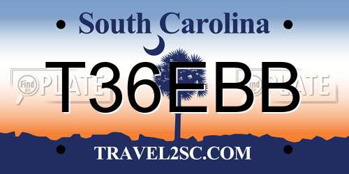 T36EBB South Carolina License Plate