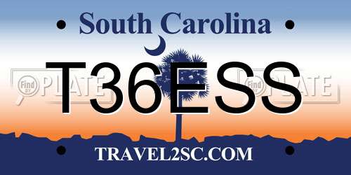 T36ESS South Carolina License Plate