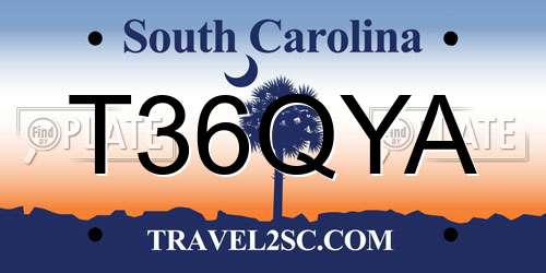 T36QYA South Carolina License Plate