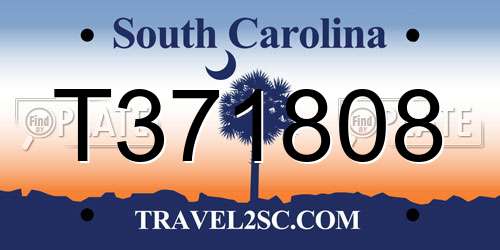 T371808 South Carolina License Plate