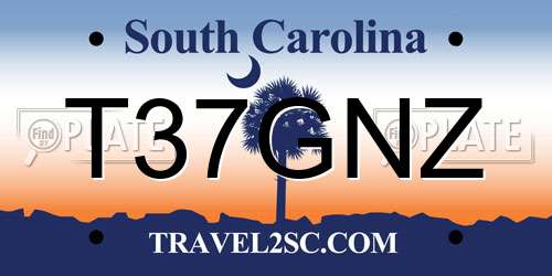 T37GNZ South Carolina License Plate
