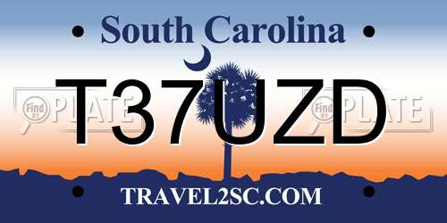 T37UZD South Carolina License Plate