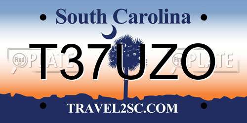 T37UZO South Carolina License Plate