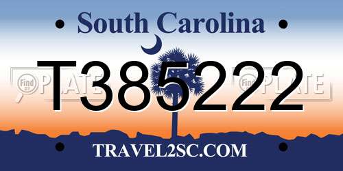 T385222 South Carolina License Plate