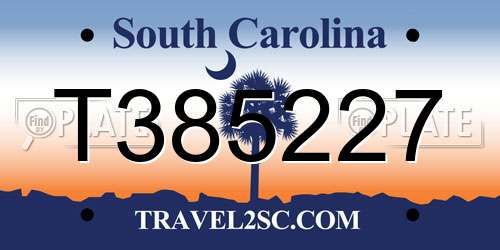 T385227 South Carolina License Plate