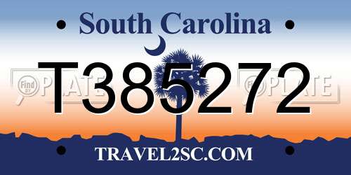 T385272 South Carolina License Plate